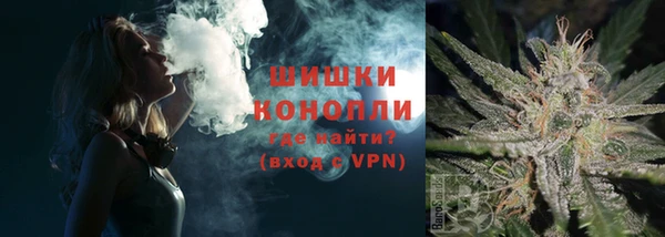 Альфа ПВП Белокуриха
